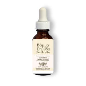 Βάμμα σημύδα (Betula alba)